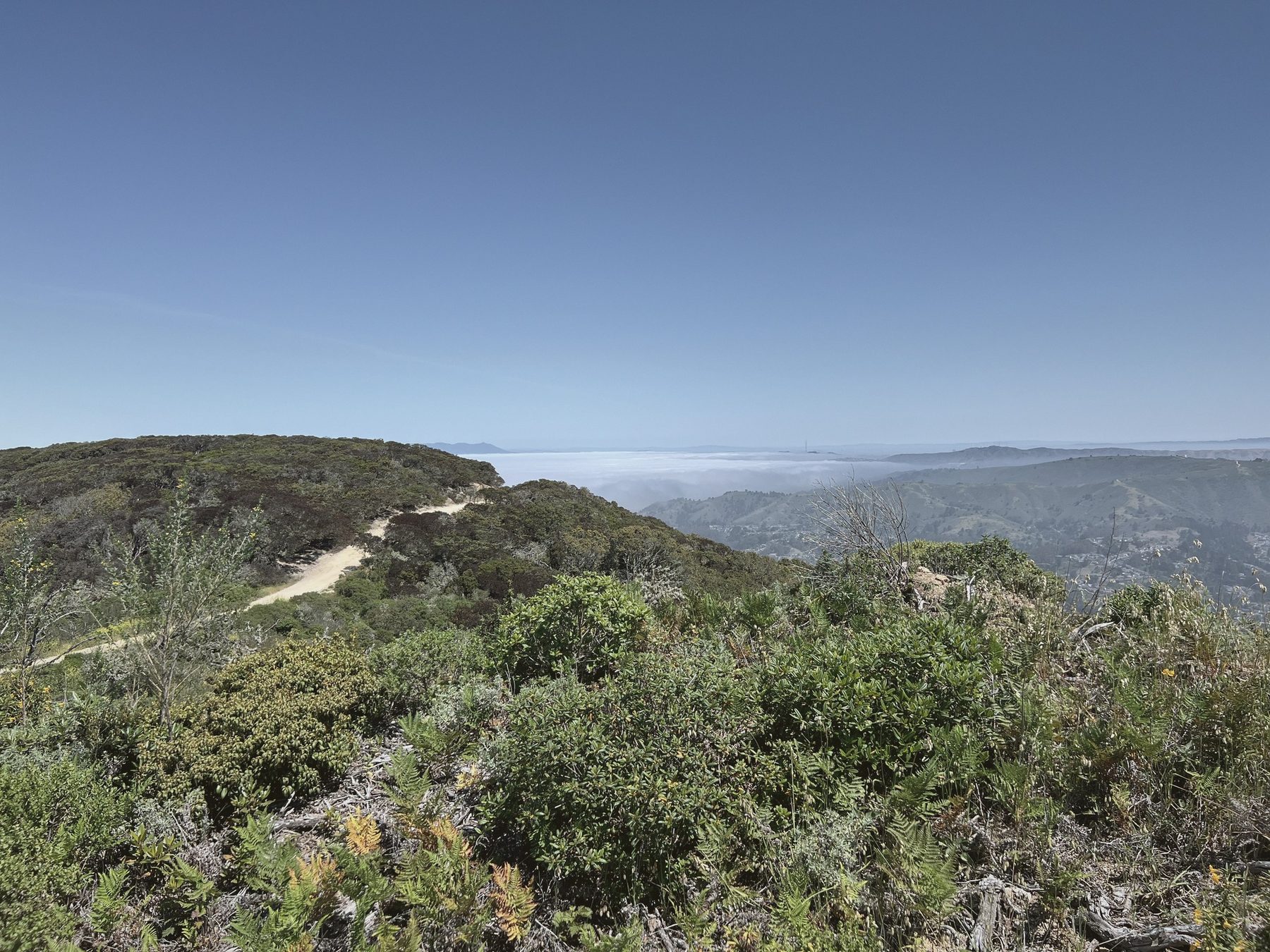 Trail winding along the coastal ridge toward the fog-covered Pacific