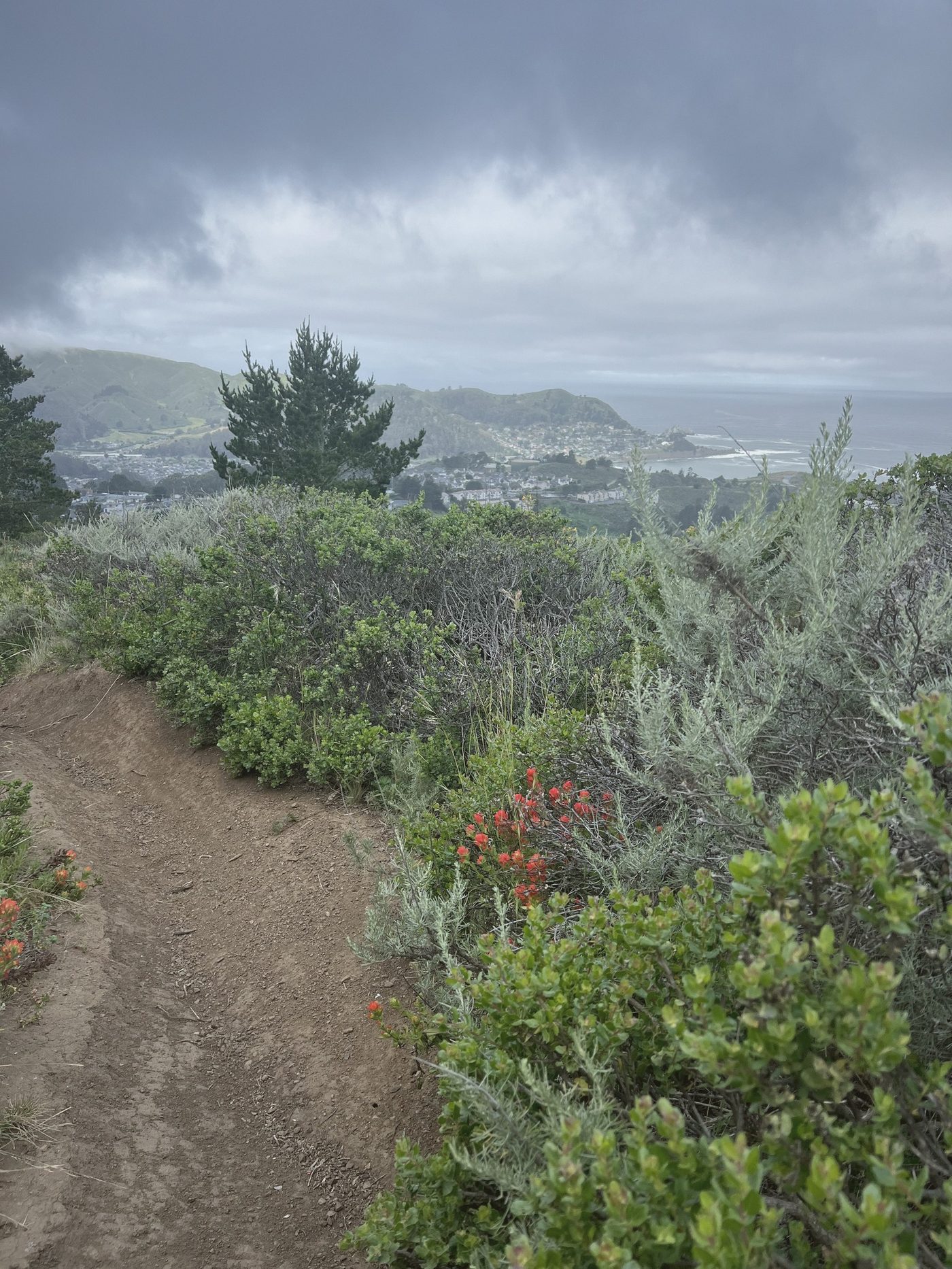 Storm light over Pacifica and the bay, seen from the ridge trail